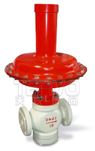 自力式差壓/微壓調(diào)節(jié)閥實(shí)物圖